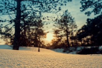 snow covered road during daytime
