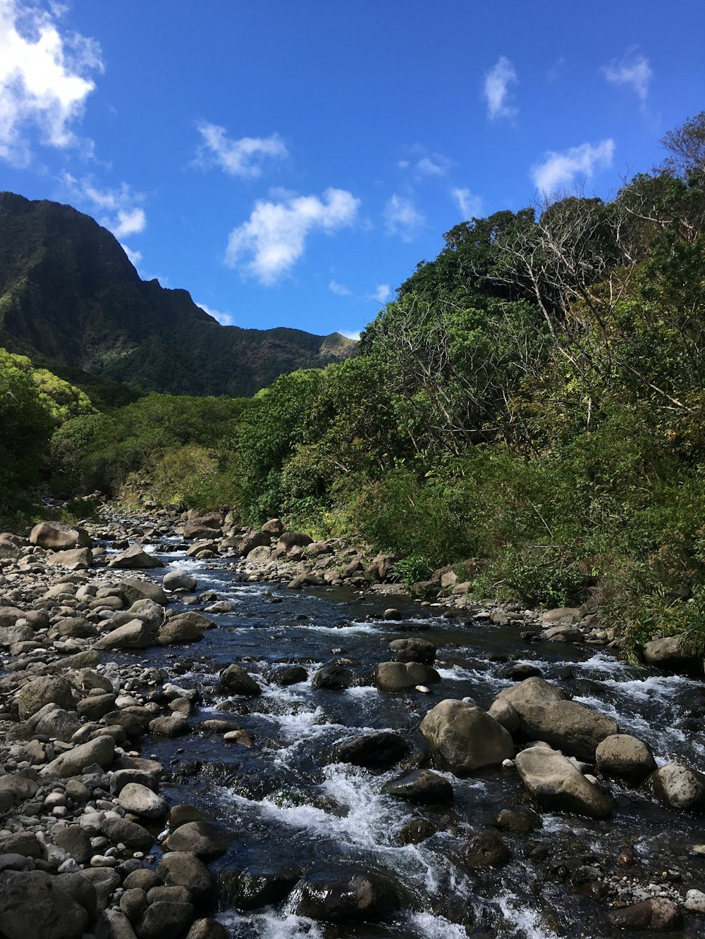 昼間の青空の下、緑の木々と山の間の岩だらけの川