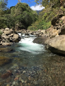 A crystal-clear mountain spring flowing gently over smooth rocks surrounded by lush Himalayan greenery.