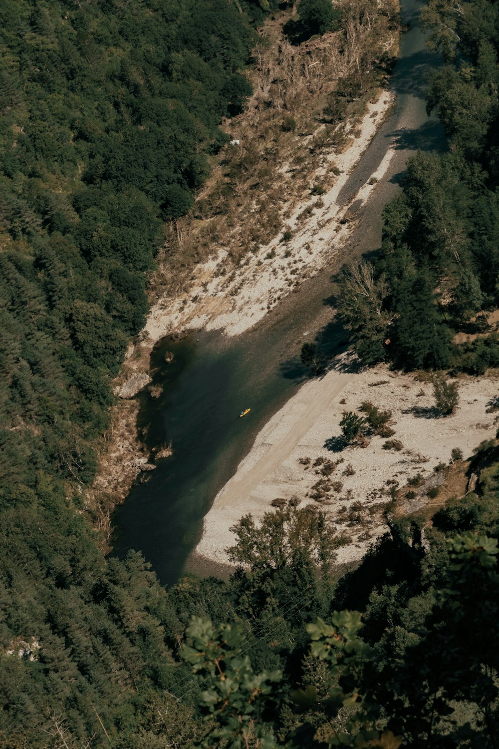 aerial view of green trees and brown sand during daytime