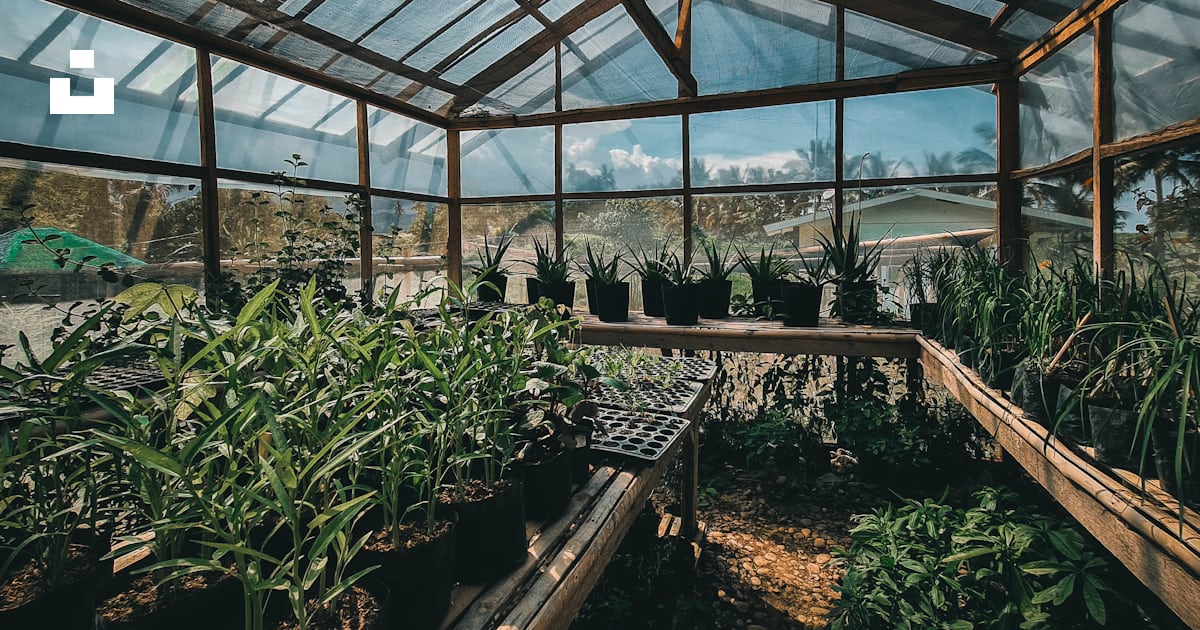 Photo by Rafael Rex Felisilda on Unsplash