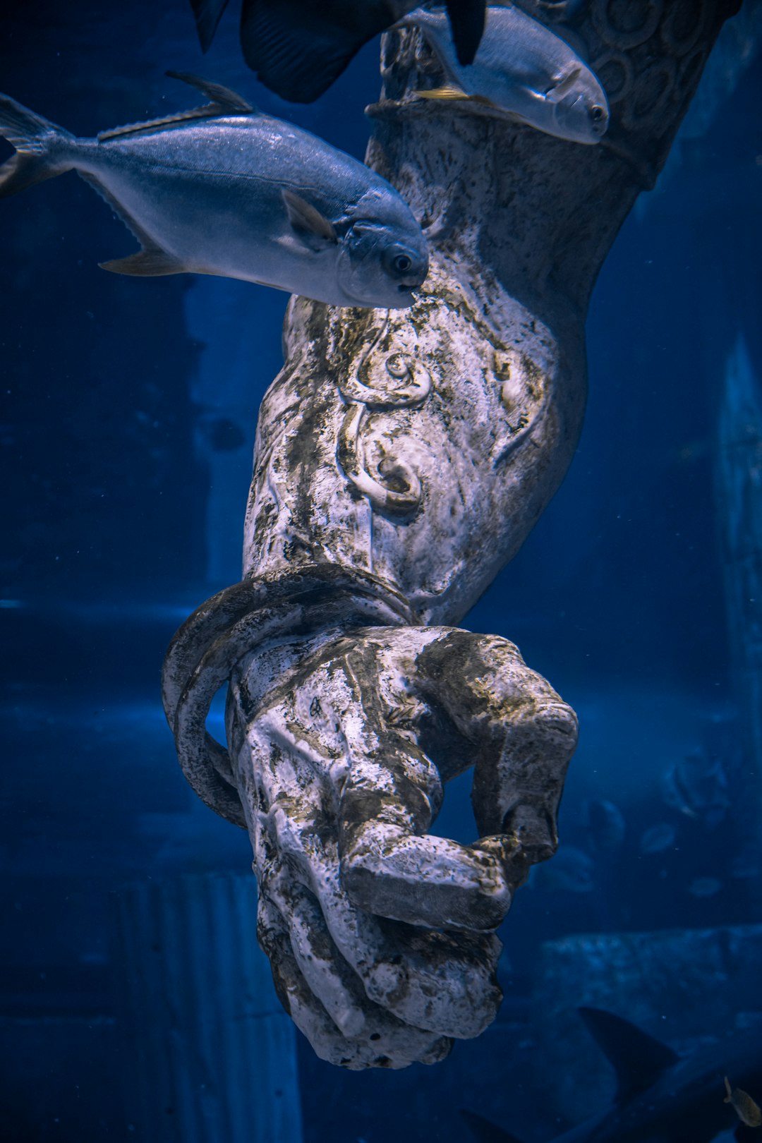 gray and blue fish statue
