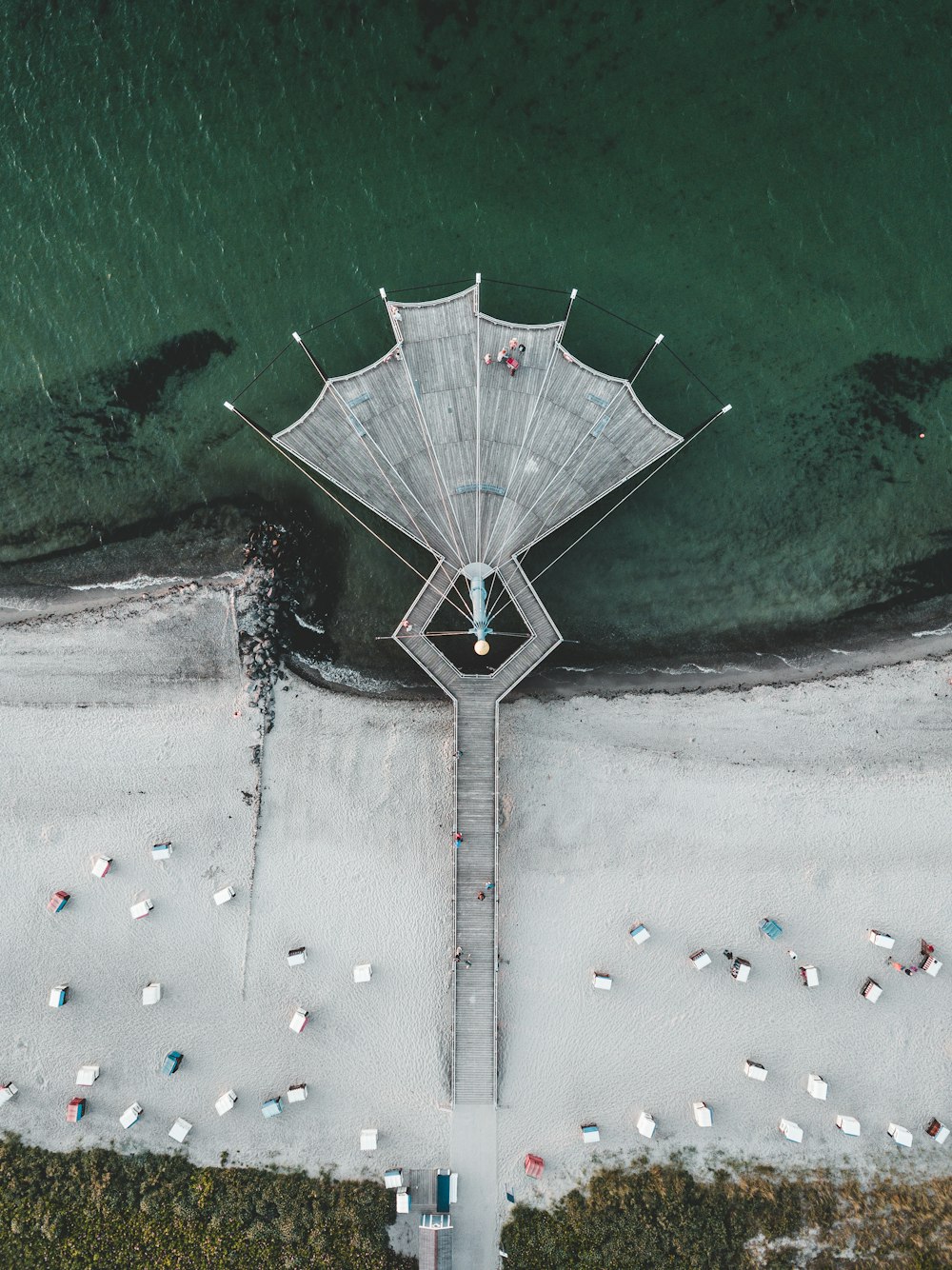 people on beach during daytime