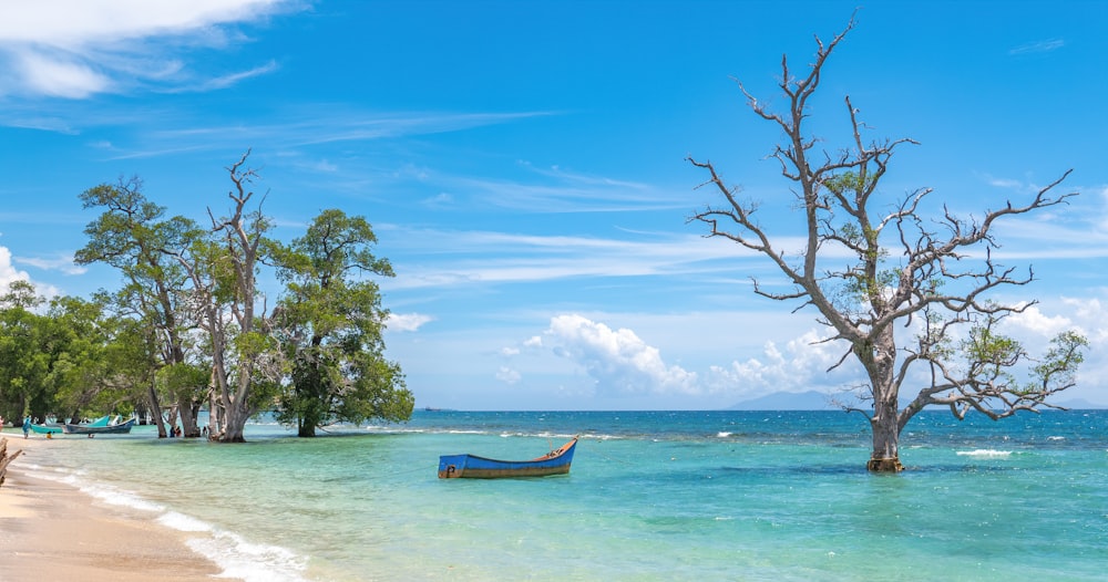 brown boat on sea shore during daytime