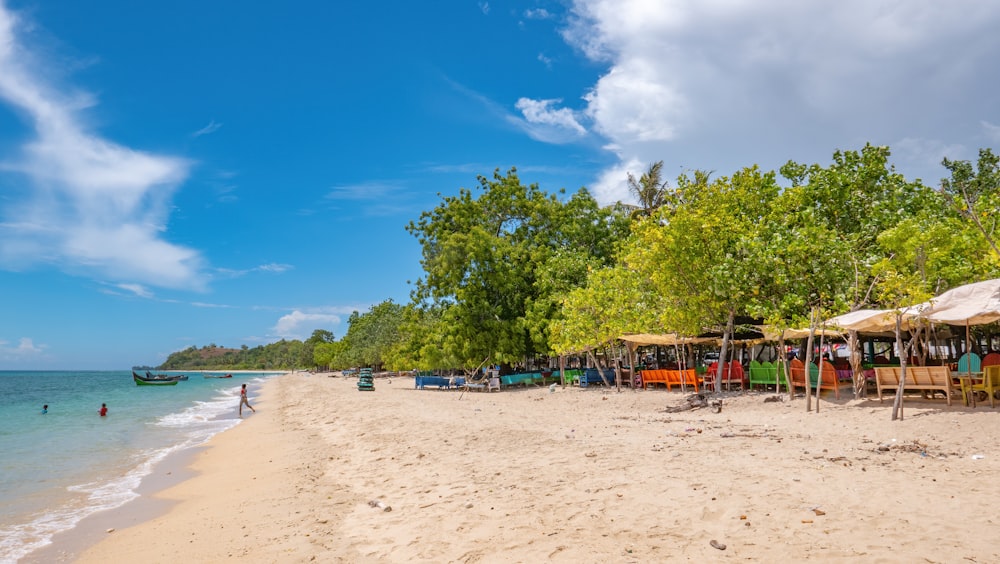 green trees on white sand beach during daytime