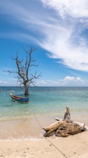 brown wooden boat on beach during daytime