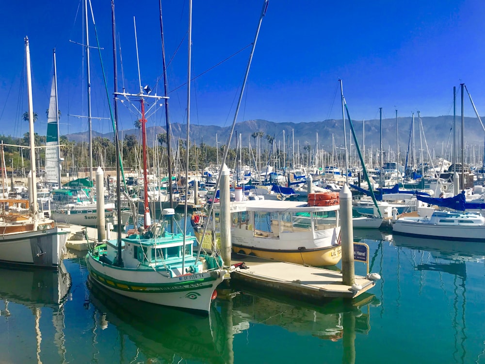 white and blue boat on dock during daytime