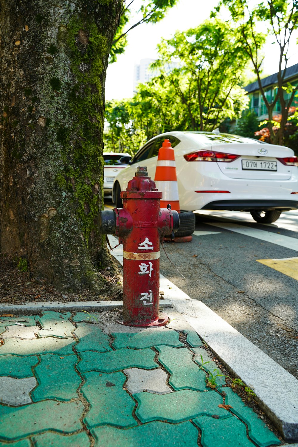 Borne d’incendie rouge à côté d’un arbre