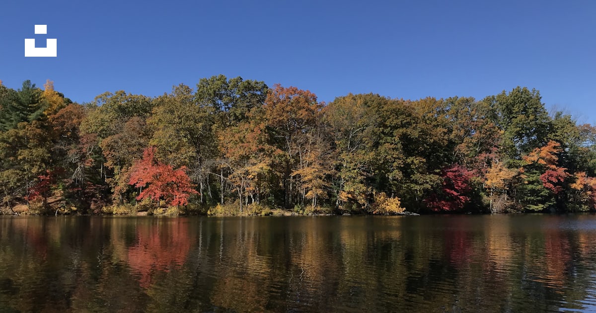 Red and green trees beside body of water during daytime photo – Free ...