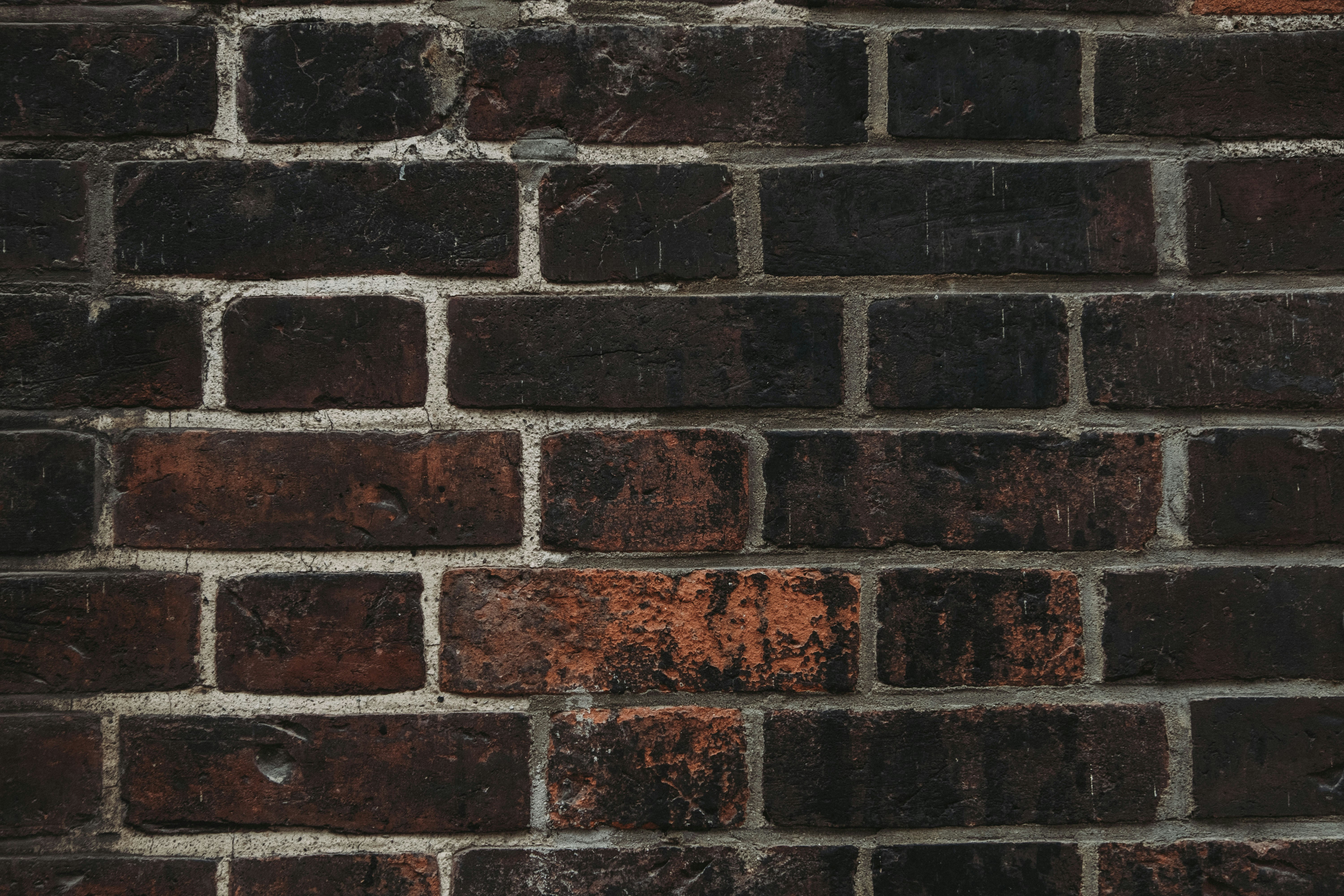 Photo by moritz_photography