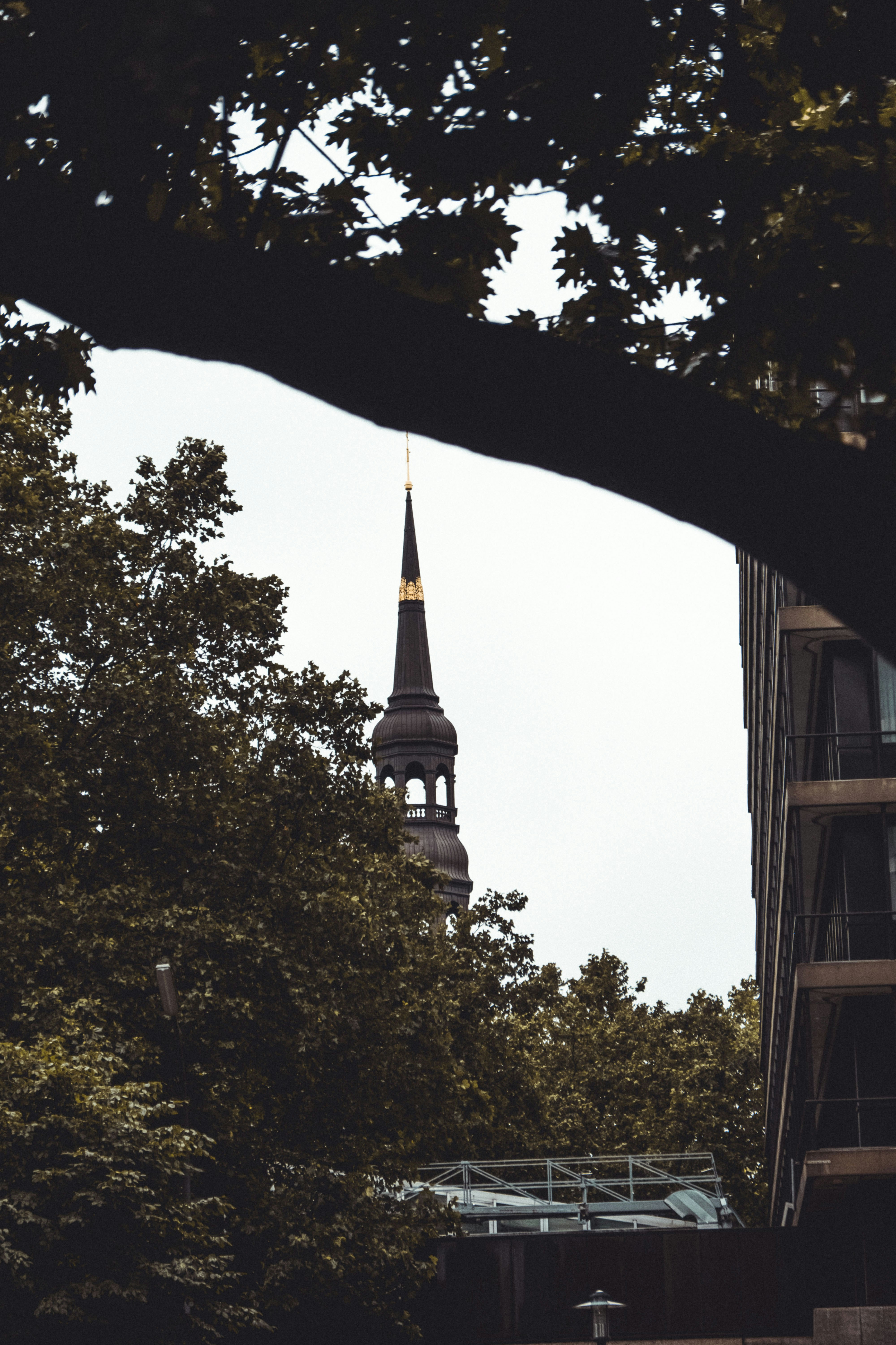 Photo by moritz_photography