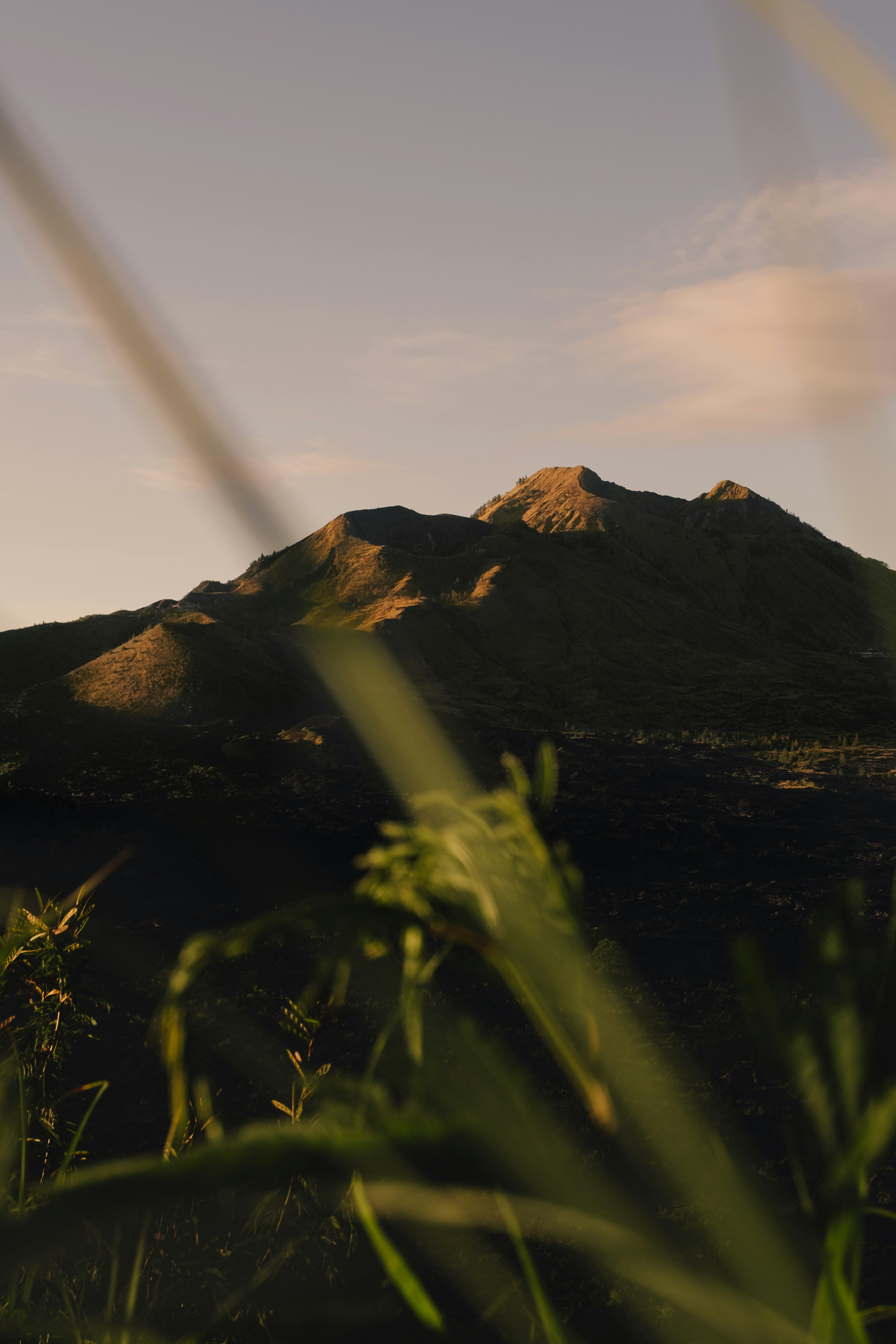 erba verde vicino alla montagna durante il giorno
