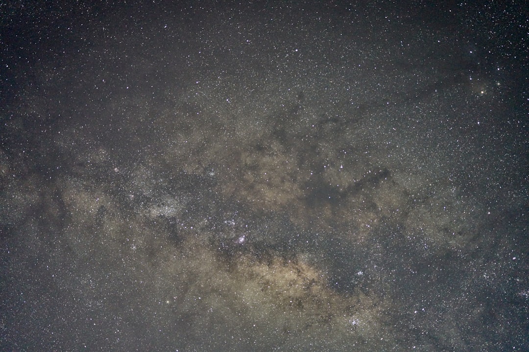 black and brown starry night