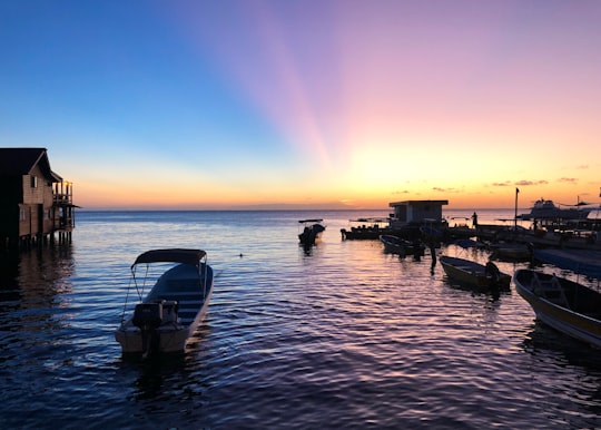 silhouette of people on boat during sunset in Roatán Honduras