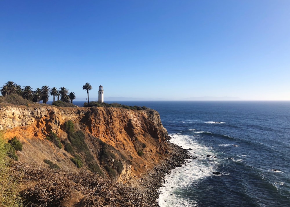 people standing on cliff near sea during daytime