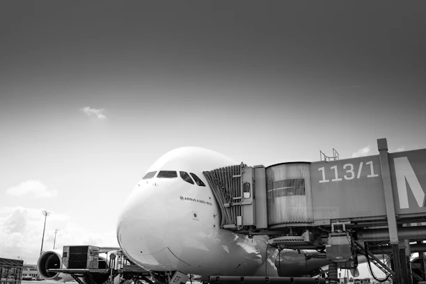airplane in grayscale photography during daytime