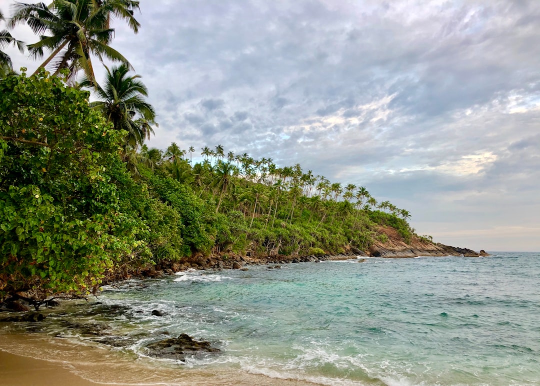 Tropics photo spot Secret Beach Mirissa Sri Lanka