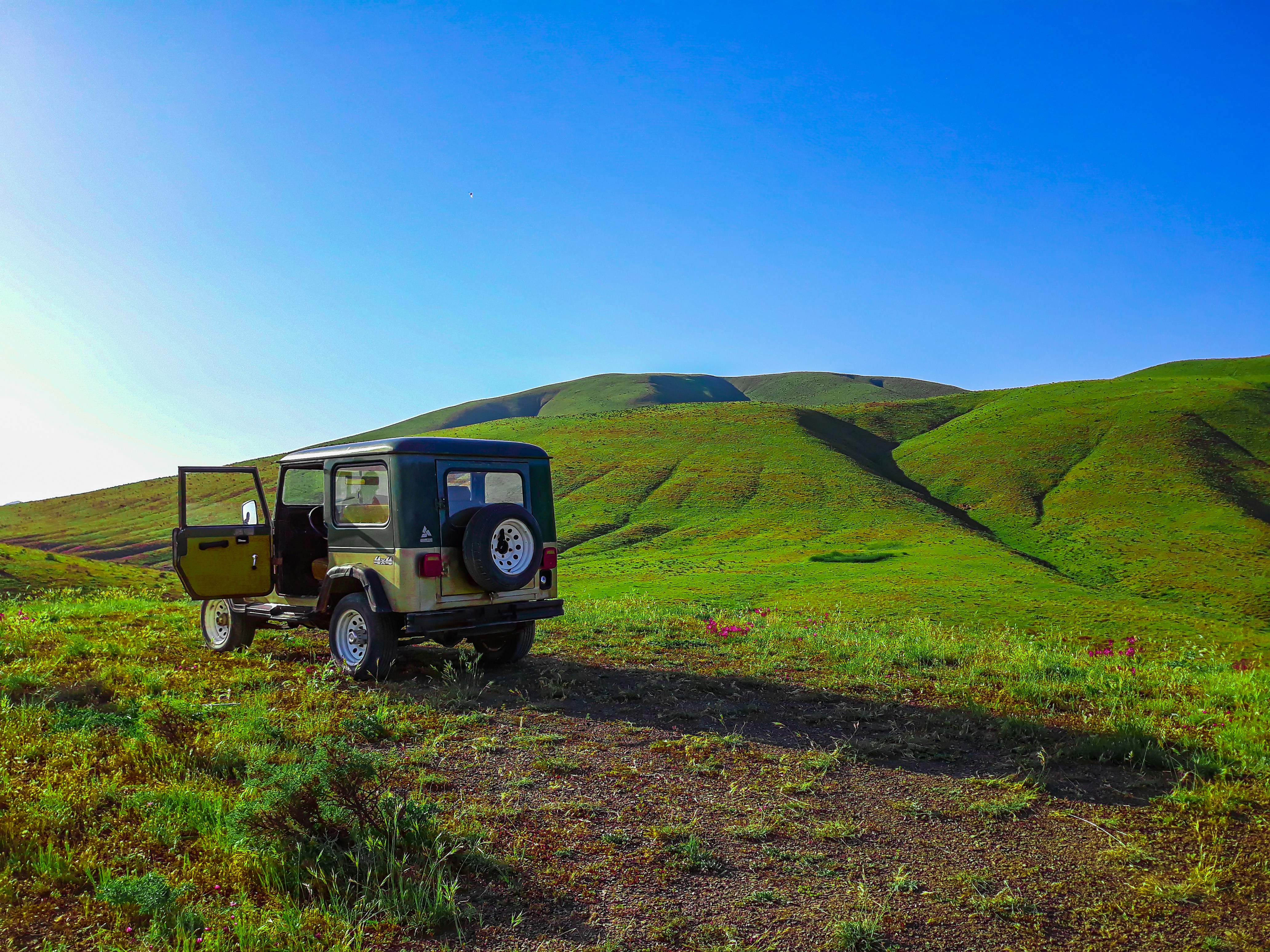 brown and black truck on green grass field under blue sky during daytime