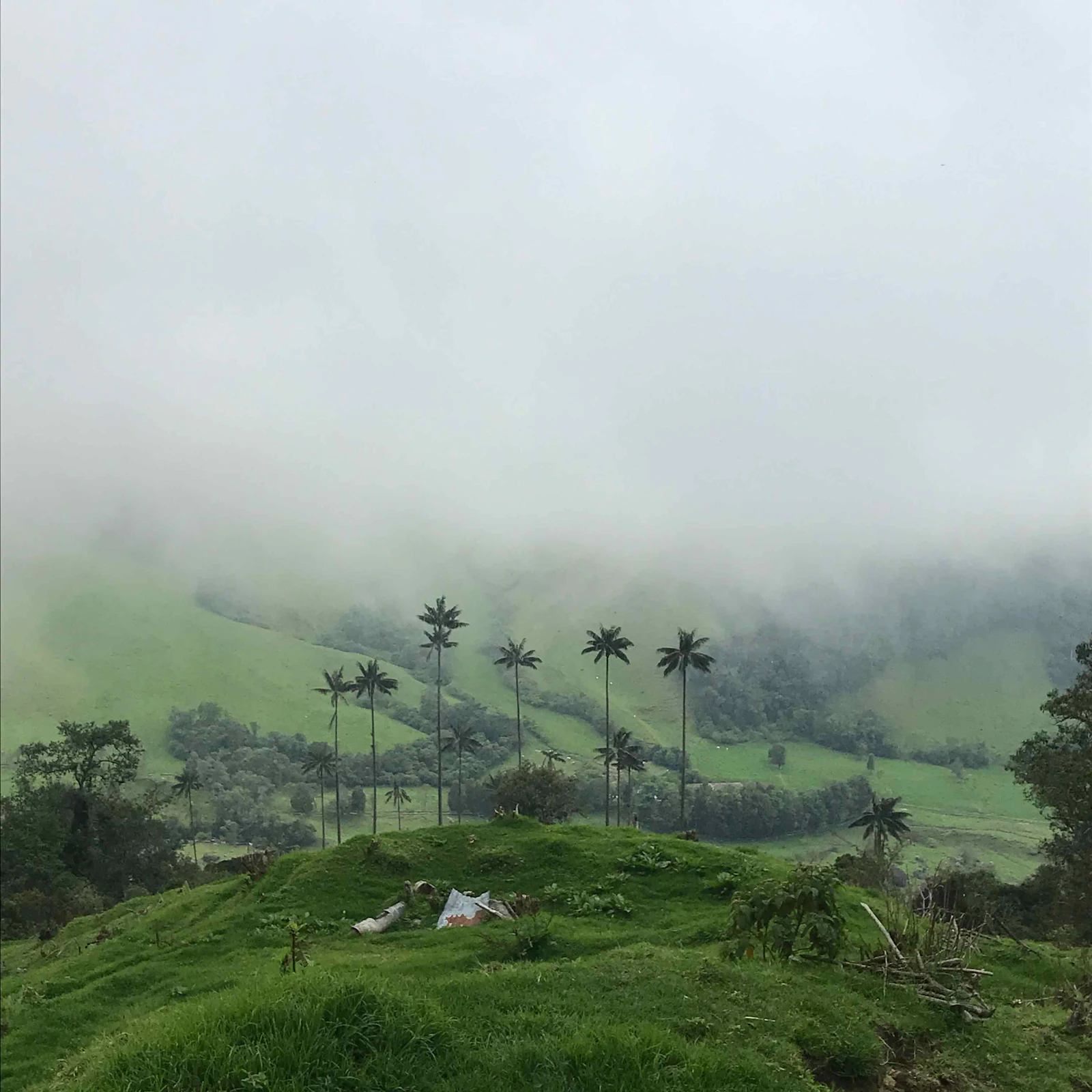 {{ t.alt.hills }}
