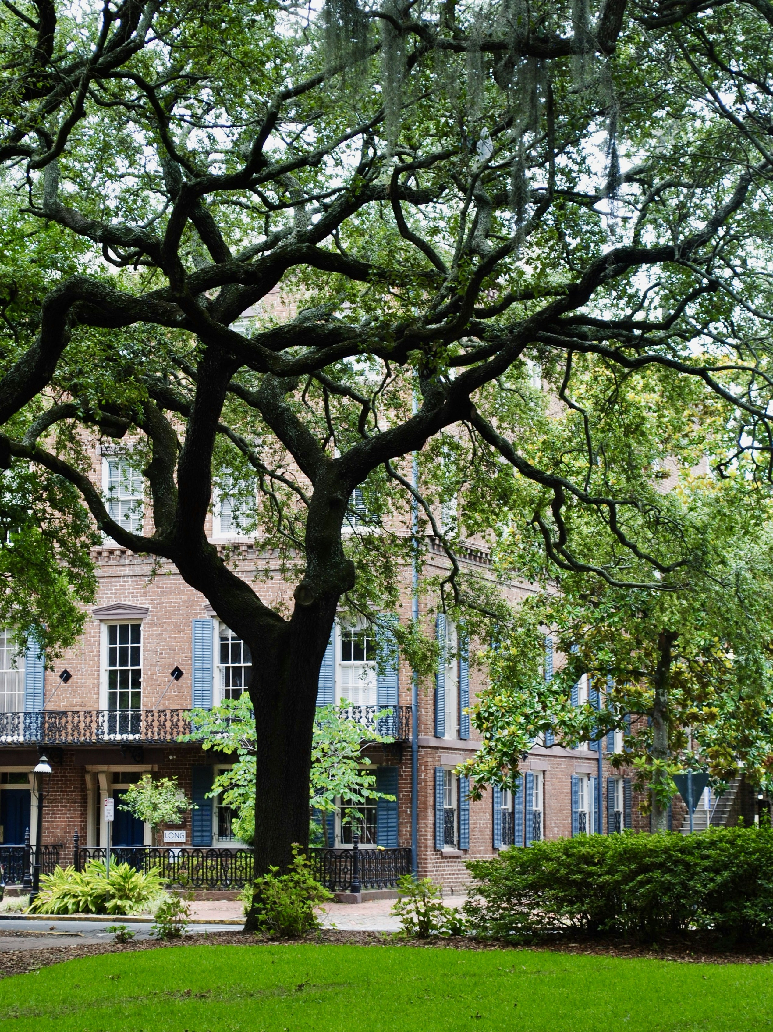 Embark on a Trolley Tour Adventure through Savannah’s Landmarks