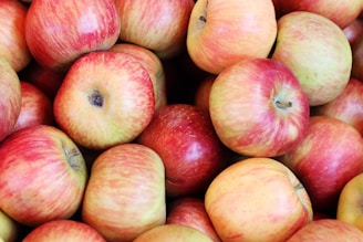 Close-up of freshly picked apples showcasing their natural shine.