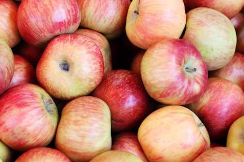 Close-up of freshly picked apples showcasing their natural shine.