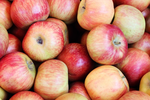 Close-up of freshly picked apples showcasing their natural shine.