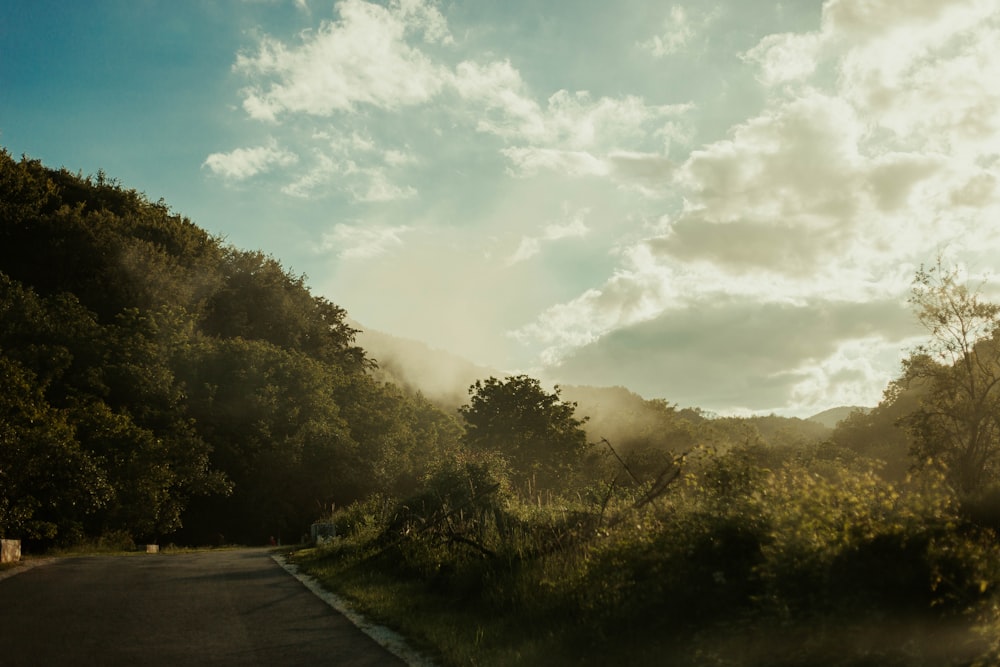 green trees under white clouds during daytime