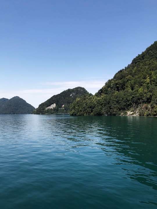 green trees on island surrounded by water during daytime in Vierwaldstättersee Switzerland