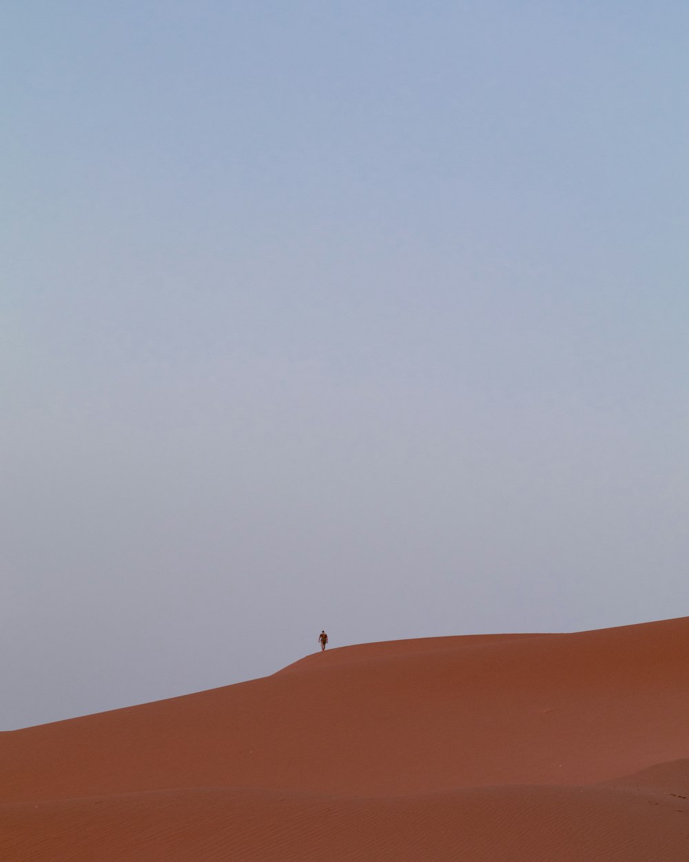 person standing on brown sand under gray sky during daytime