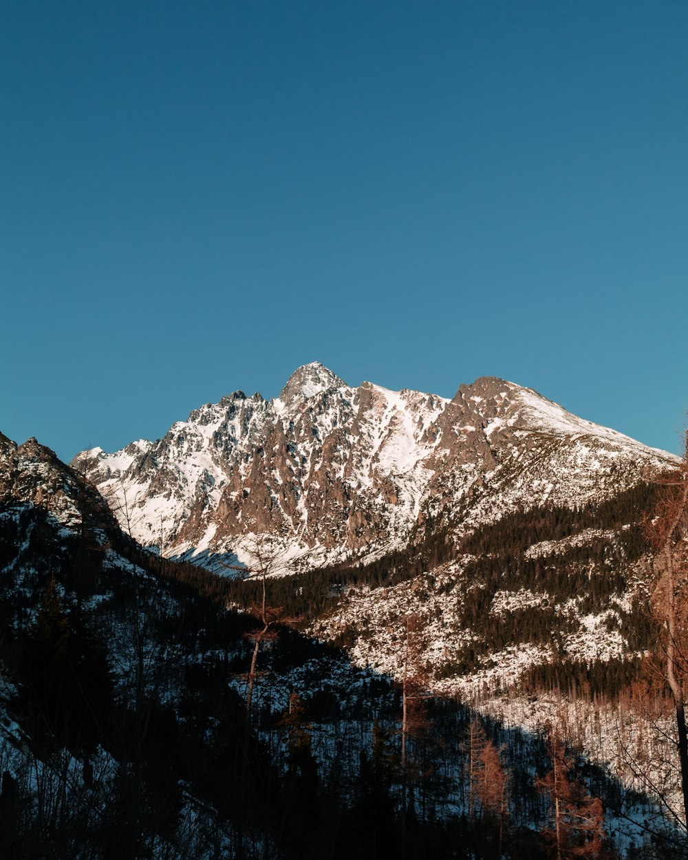 snow covered mountain during daytime