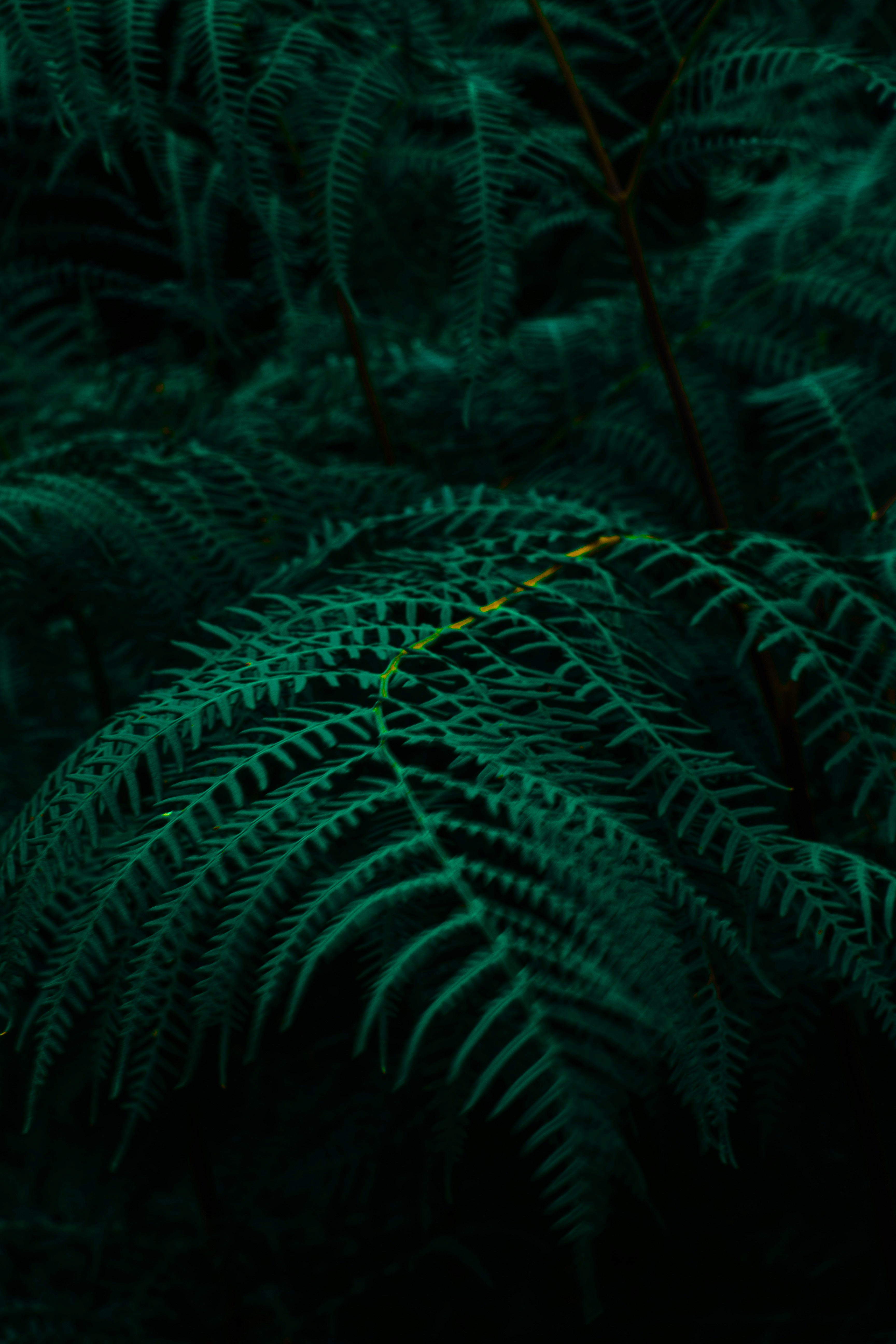 Photo by oozgurunal
