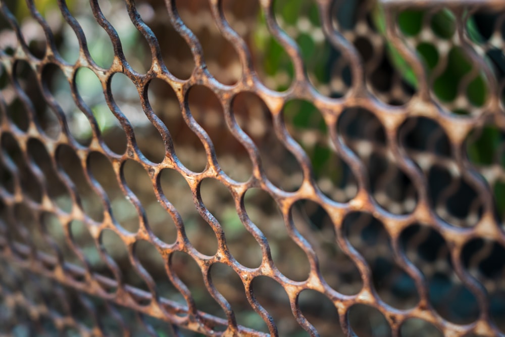 brown metal chain link fence