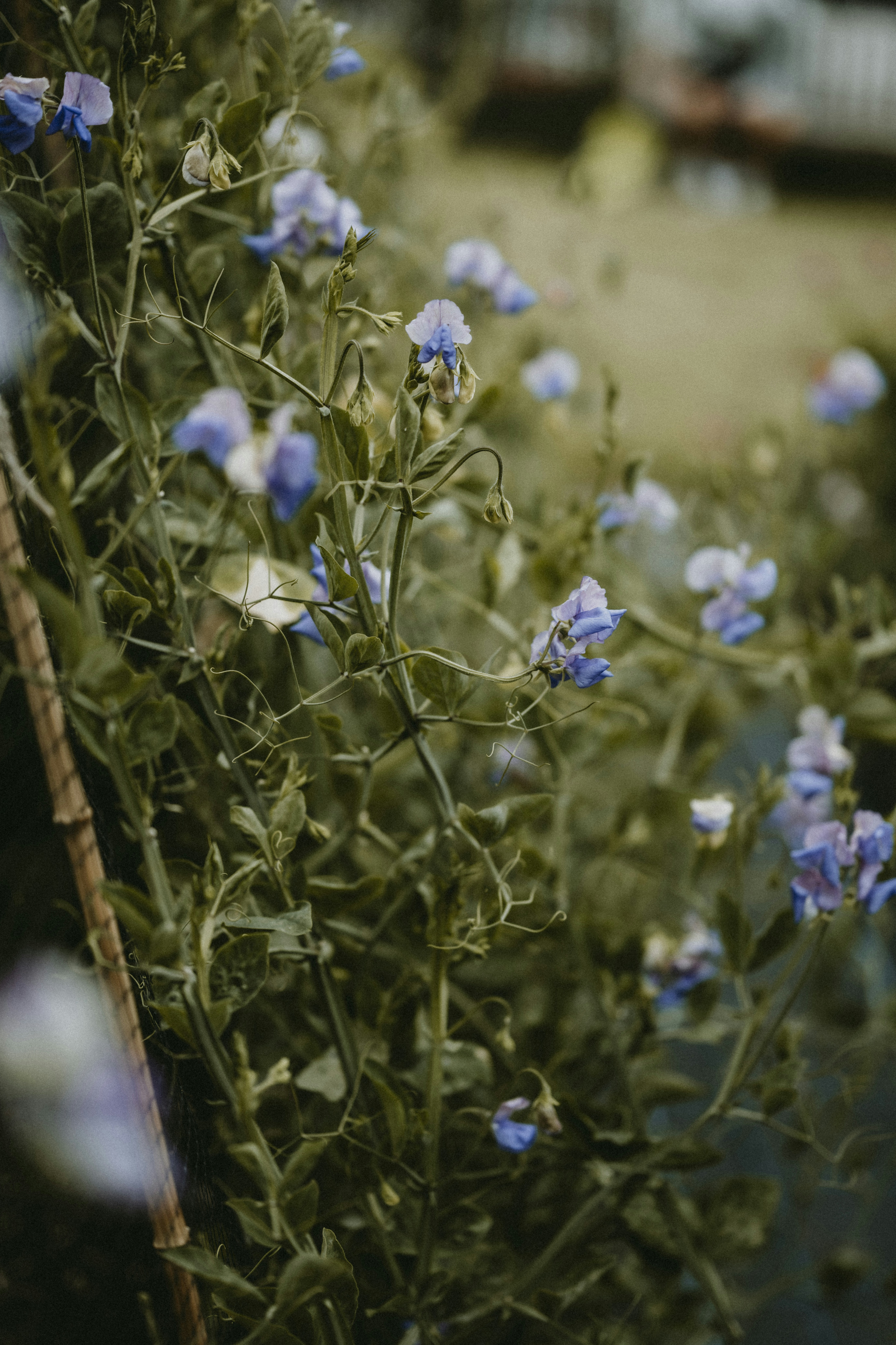 Photo by anniespratt