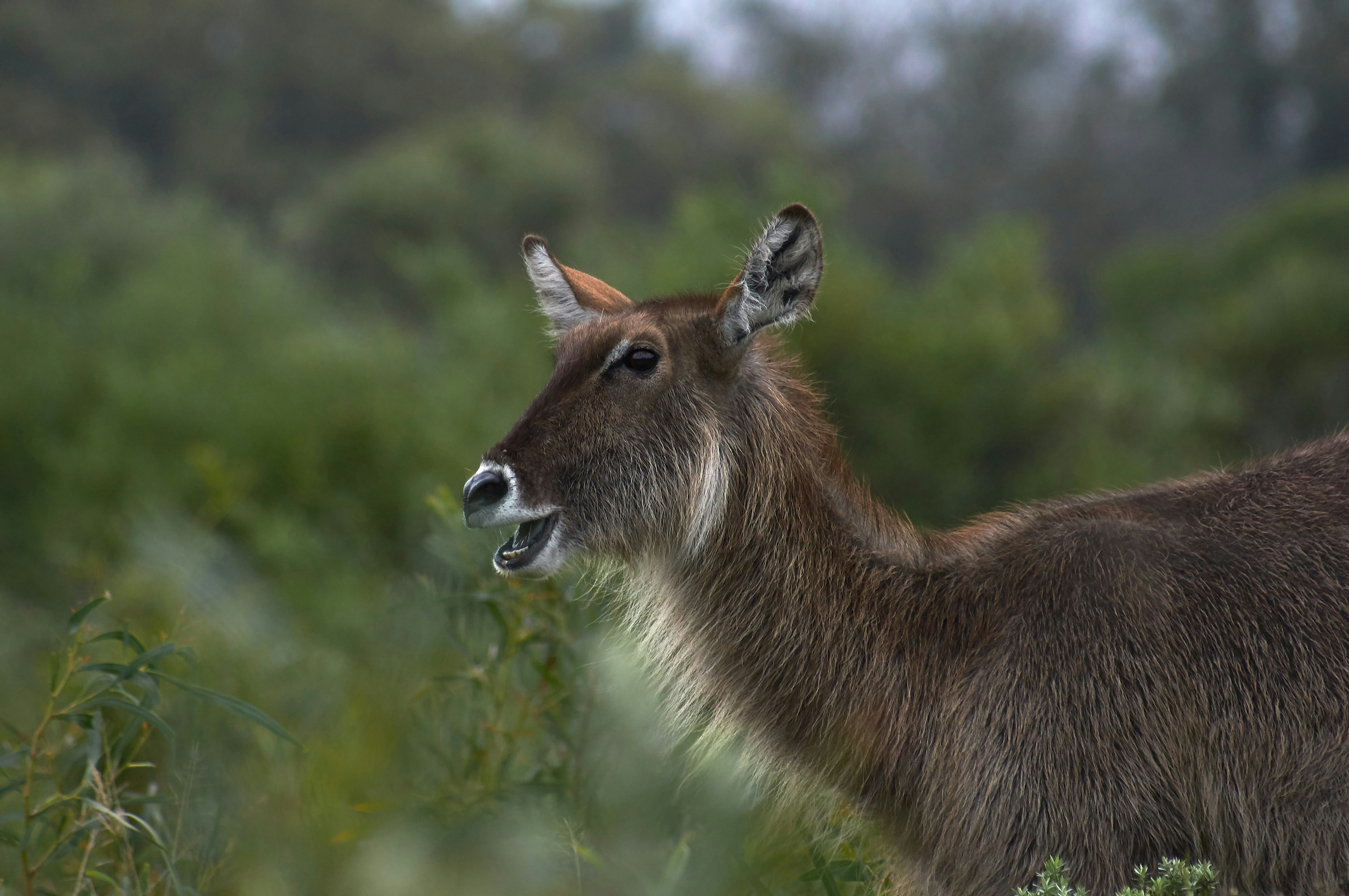 Photo by wolfgang_hasselmann