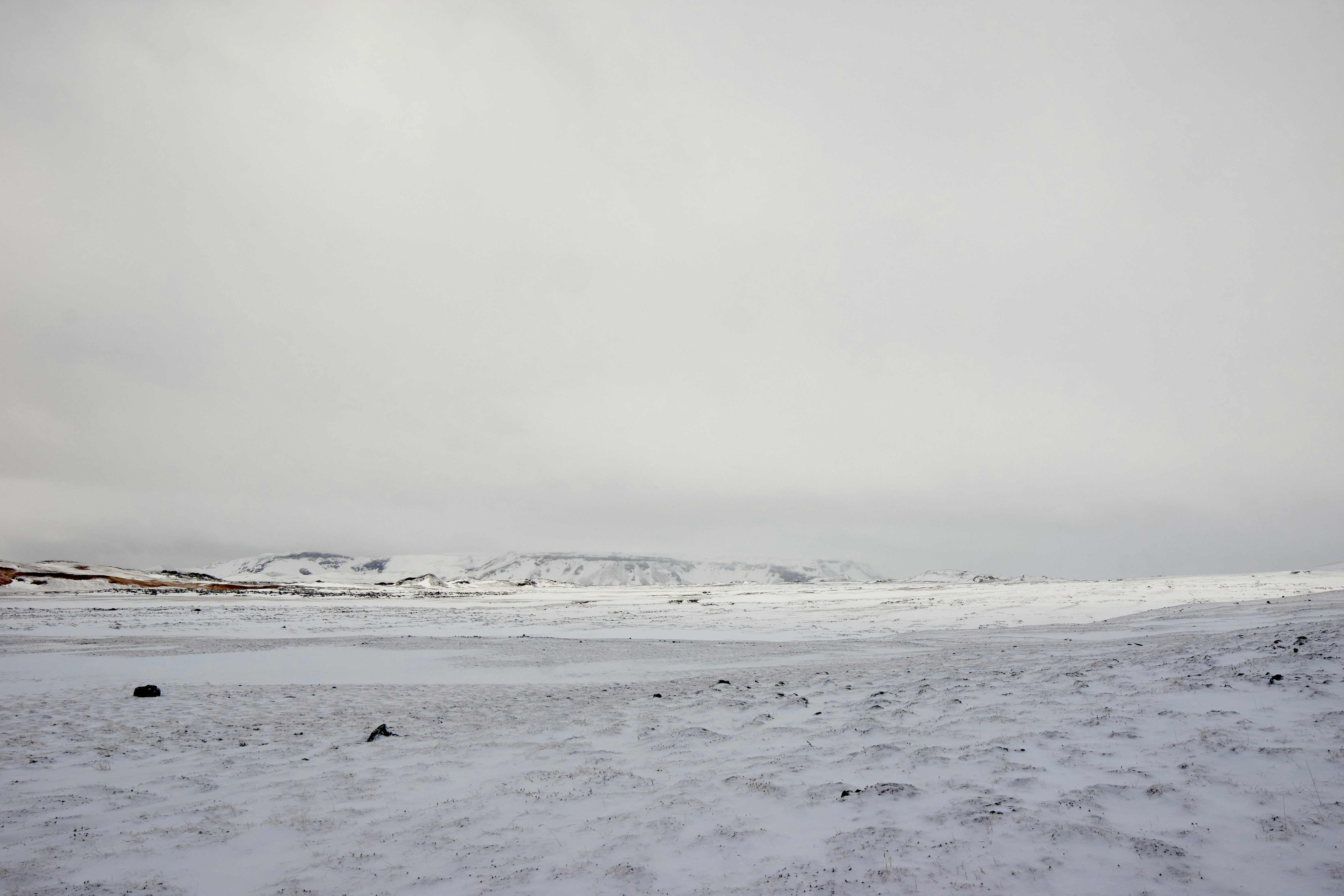 Photo by wolfgang_hasselmann