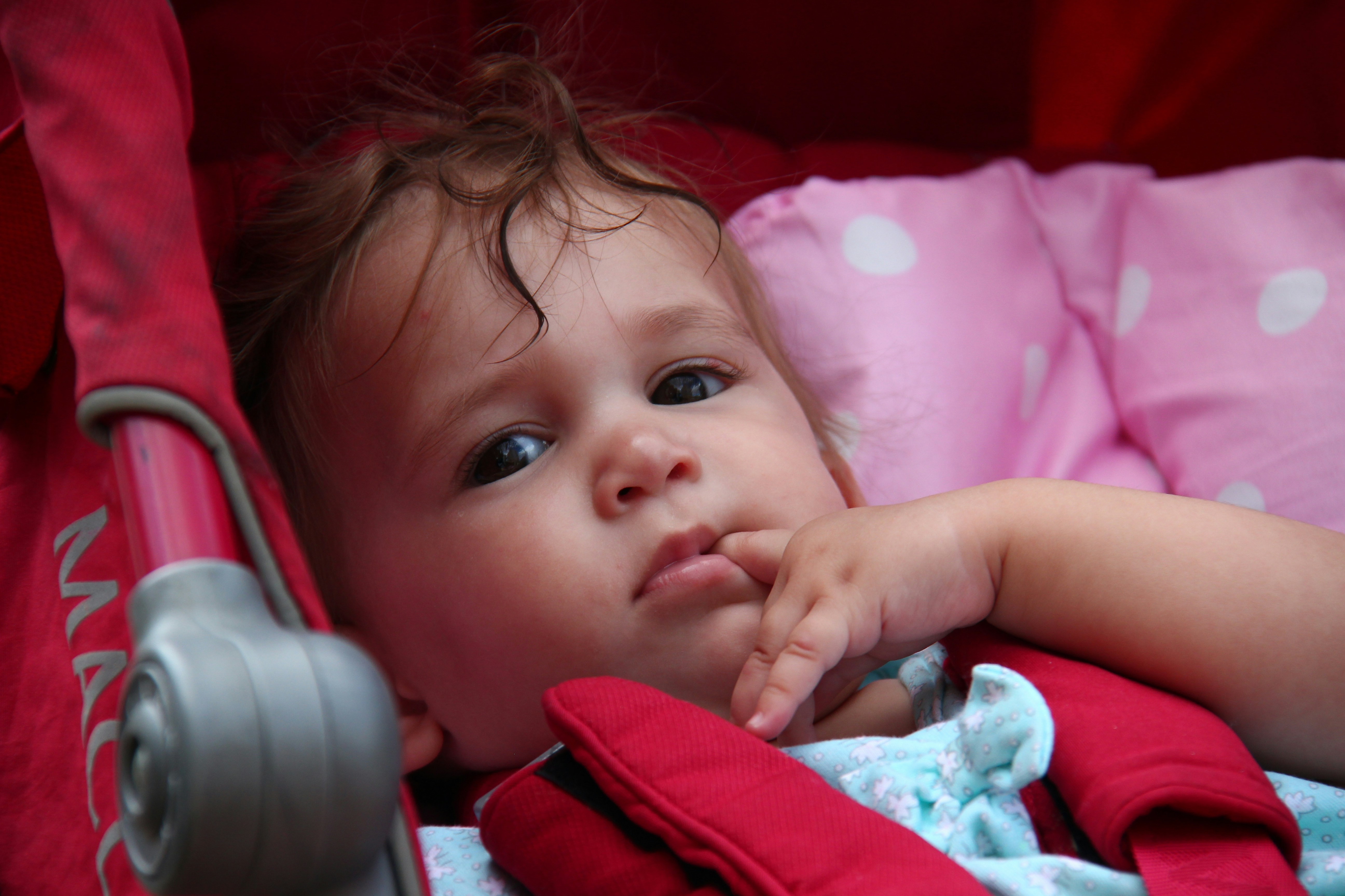 Photo by shalevcohen