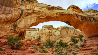 brown rock formation during daytime