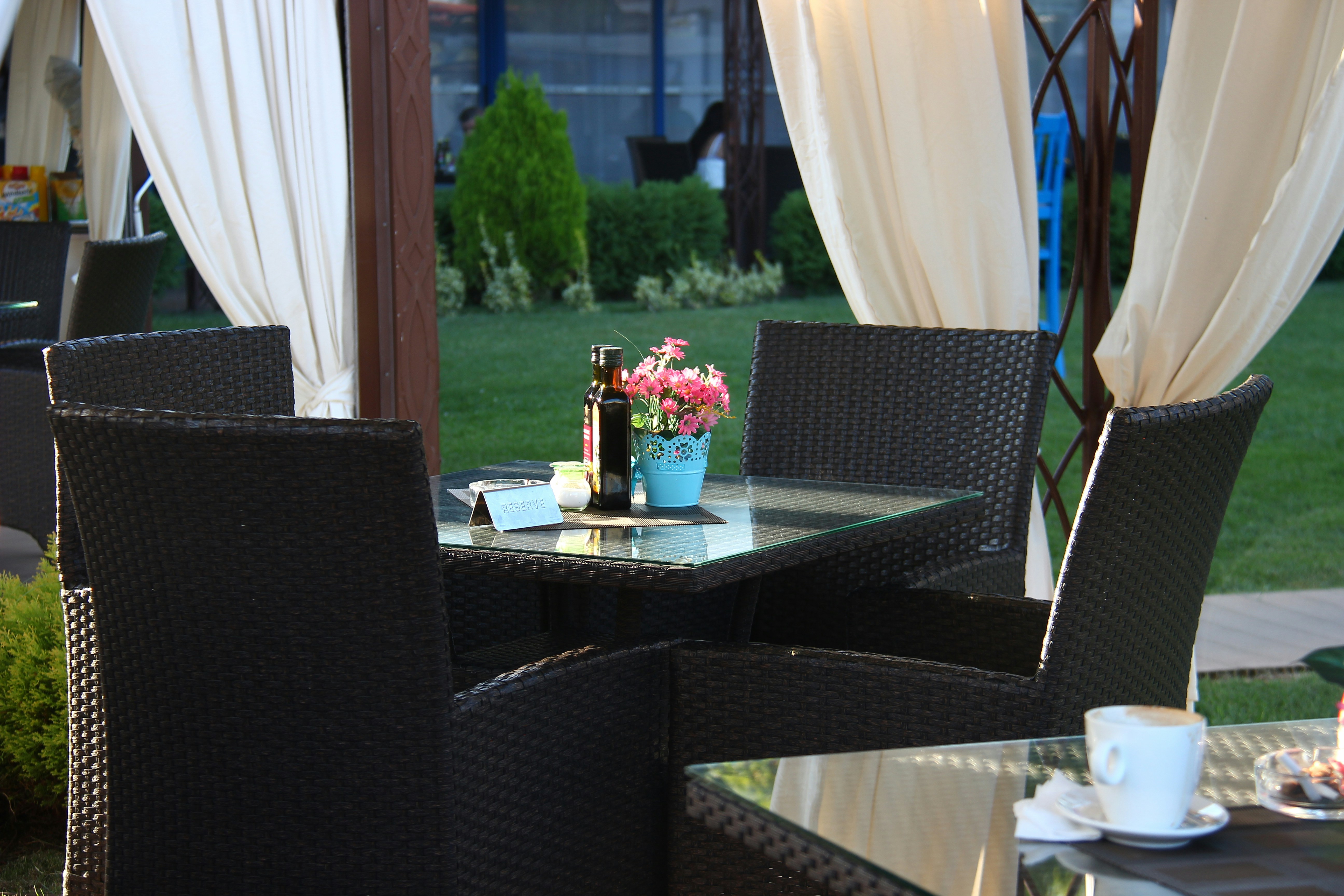 Photo by shalevcohen