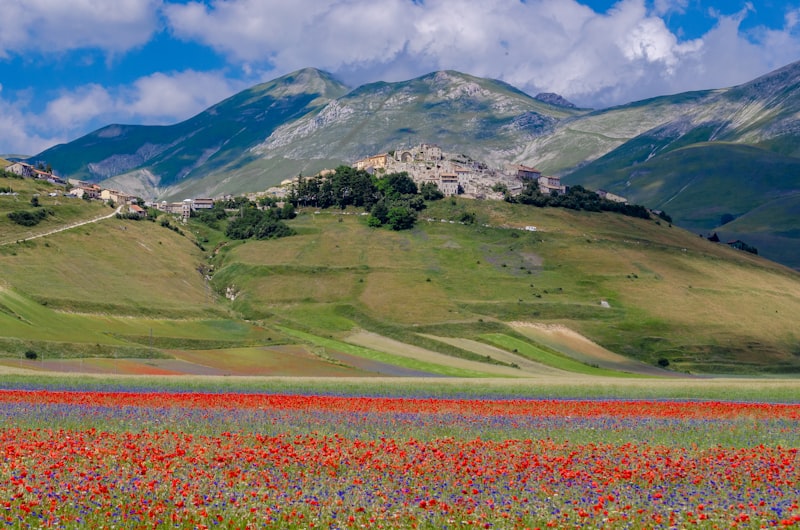How do you reach Castelluccio from Rome or nearby airports efficiently