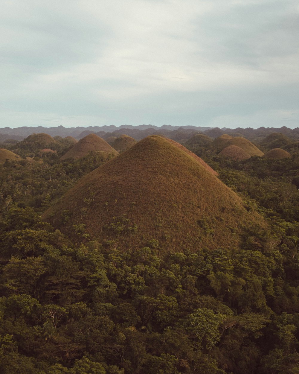 green trees on brown mountain under white clouds during daytime