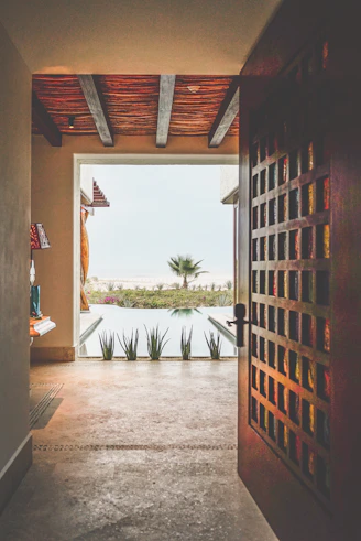 green palm tree near brown wooden door
