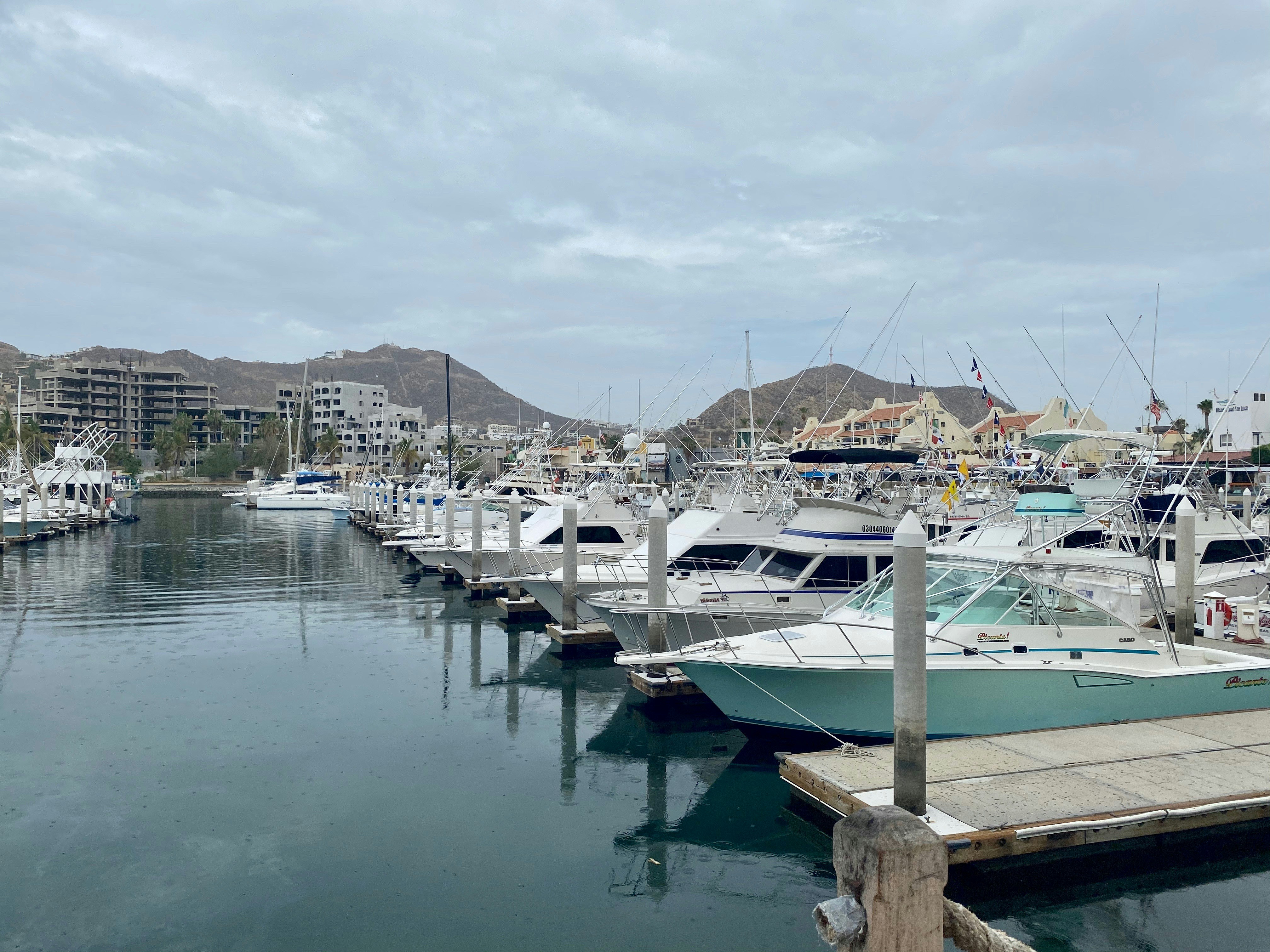 La Paz marina sailboats harbor