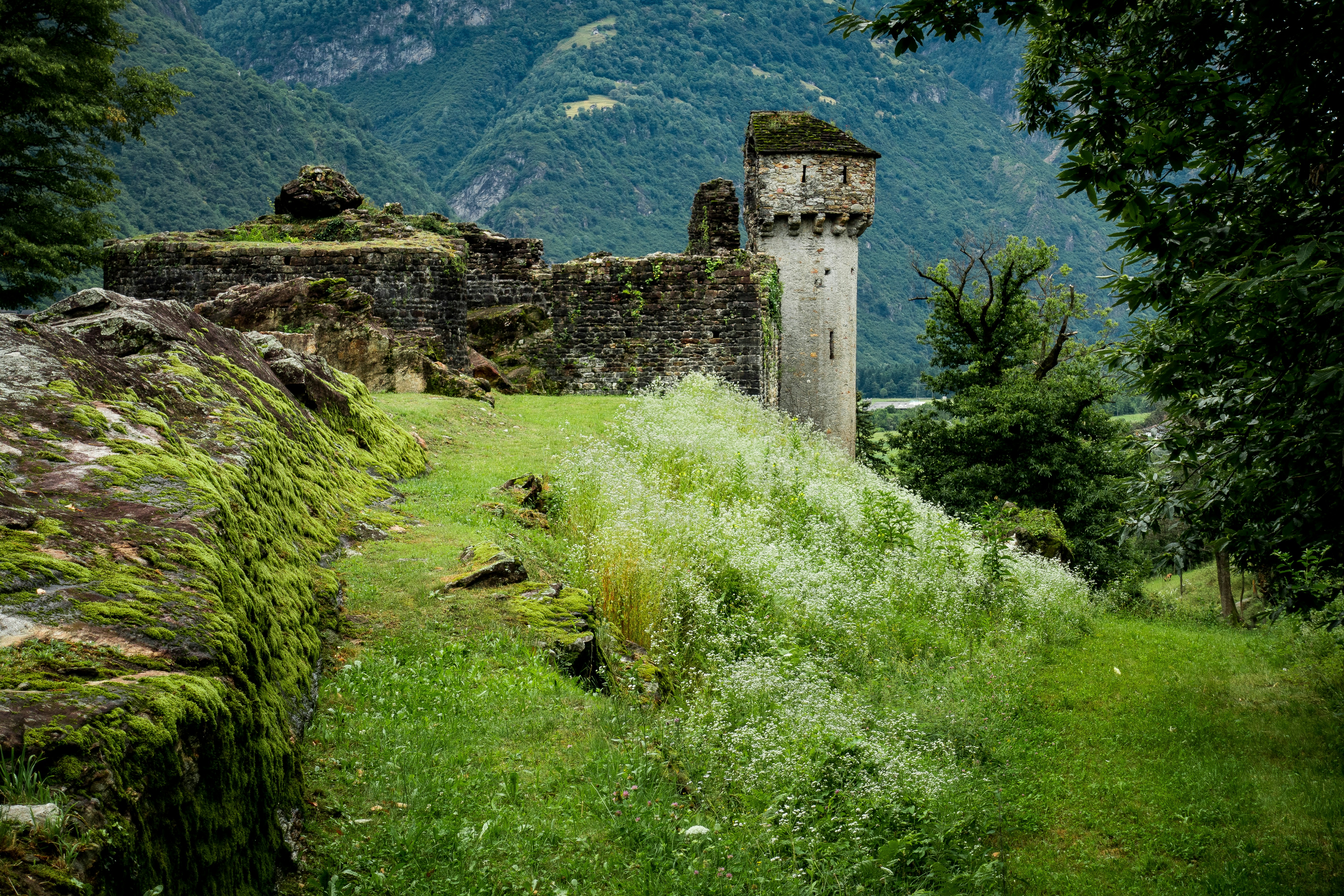 Photo by uguccione65