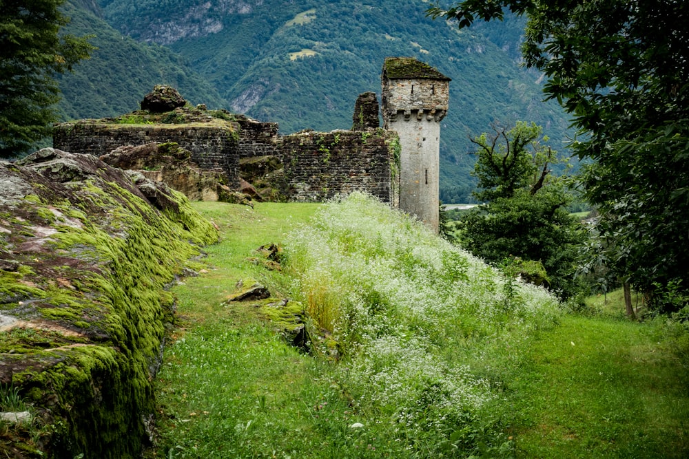 Champ d’herbe verte près d’un bâtiment en béton gris pendant la journée