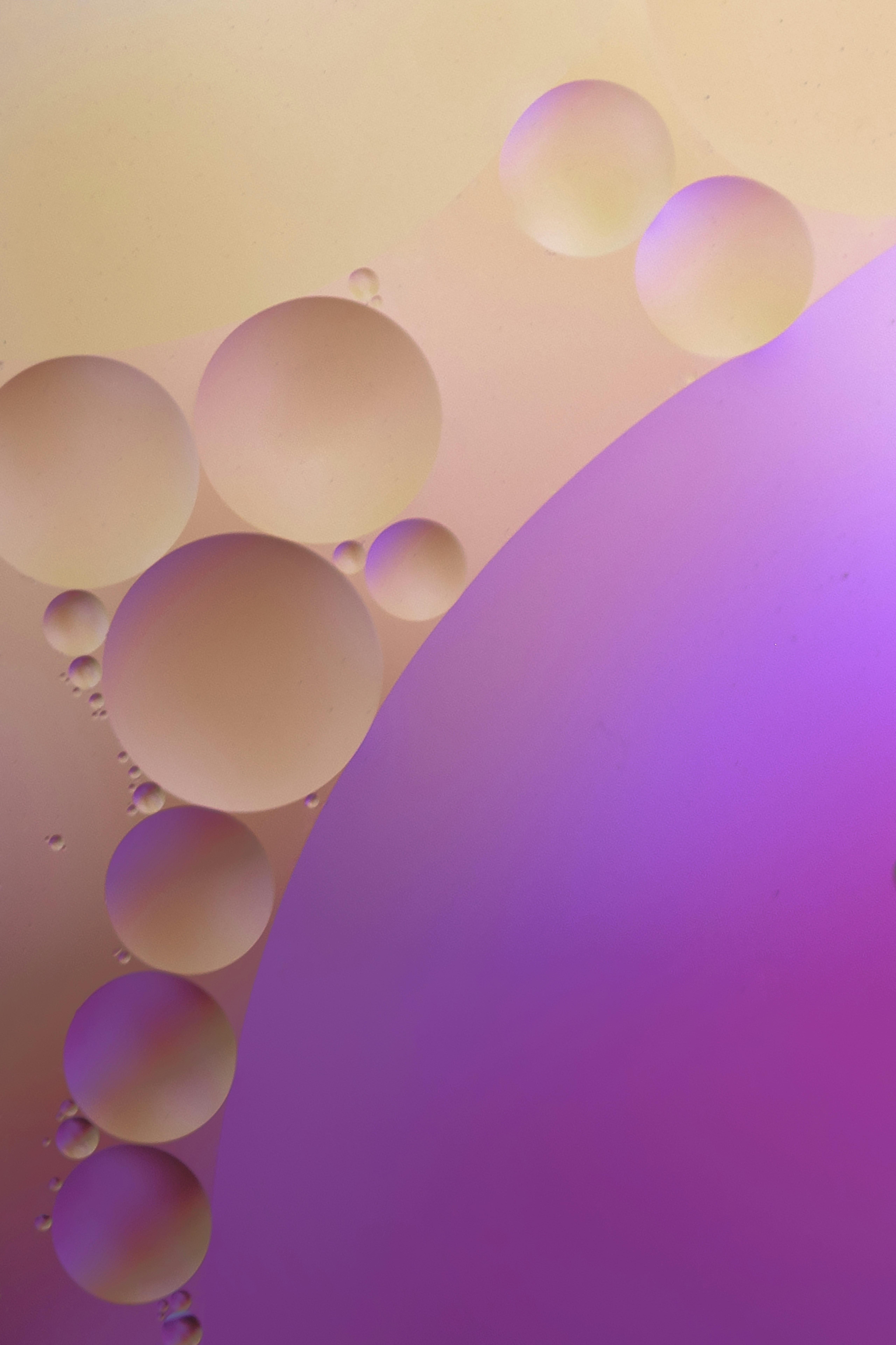 青い空に緑の風船の写真 Unsplashで見つけるピンクの無料写真