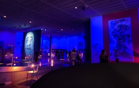 The scene is set in a dimly lit art gallery with a blue and purple color scheme. Large art pieces are displayed on the walls, with one featuring a prominent face and another abstract design. Several people are walking and observing the artwork, creating a serene and contemplative atmosphere. Seating is arranged sparsely along the floor.