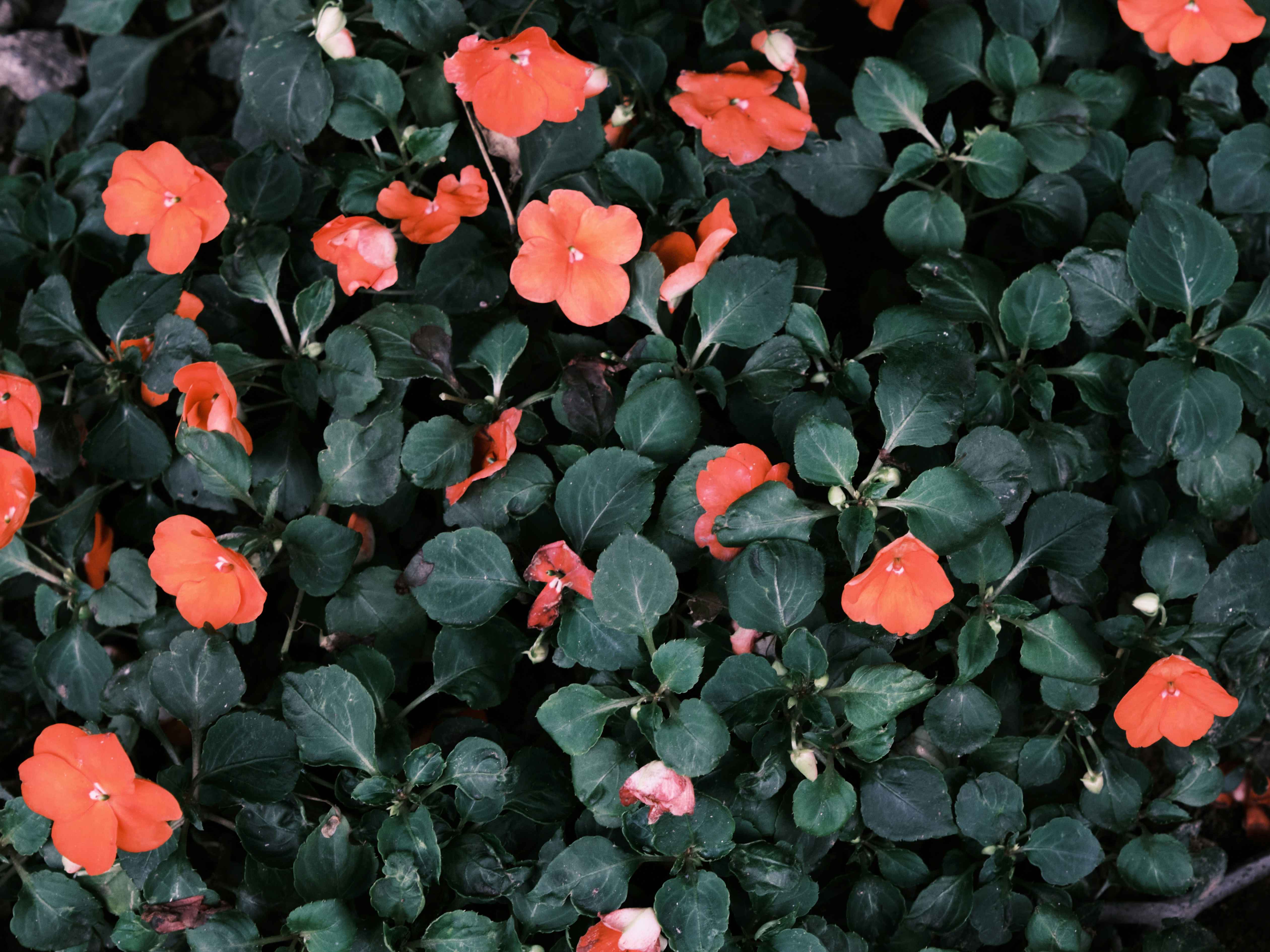 Photo by chriszhang0806