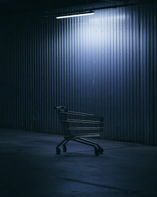 shopping cart in a room