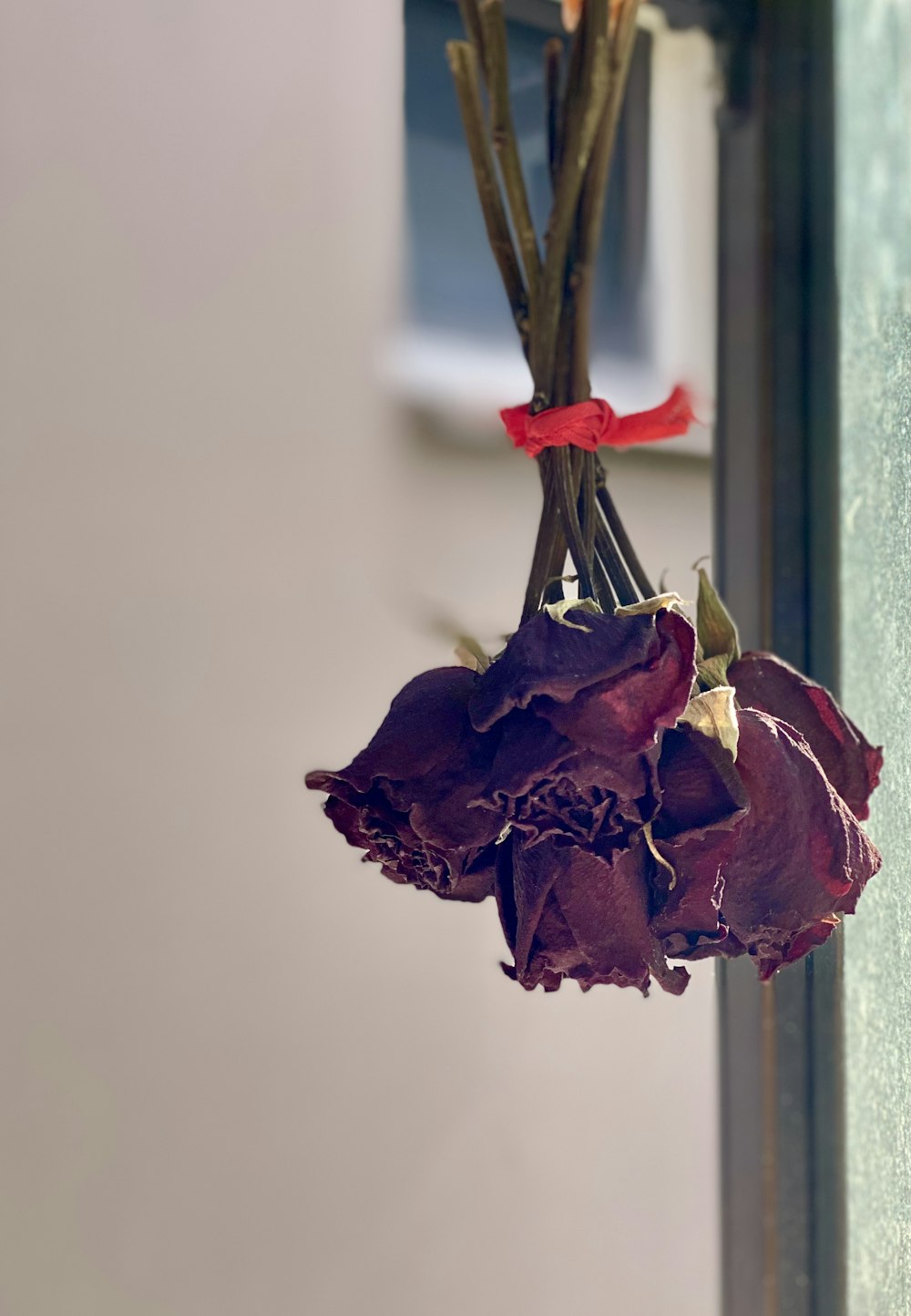 a bunch of dried flowers hanging from a hook